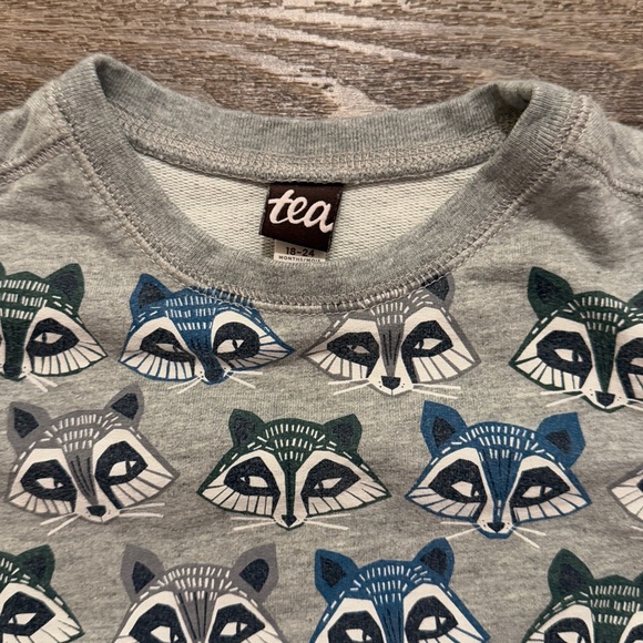 Tea Collection 100% Cotton Heather Grey Raccoon Graphic Pullover Sweatshirt - Picture 6 of 11